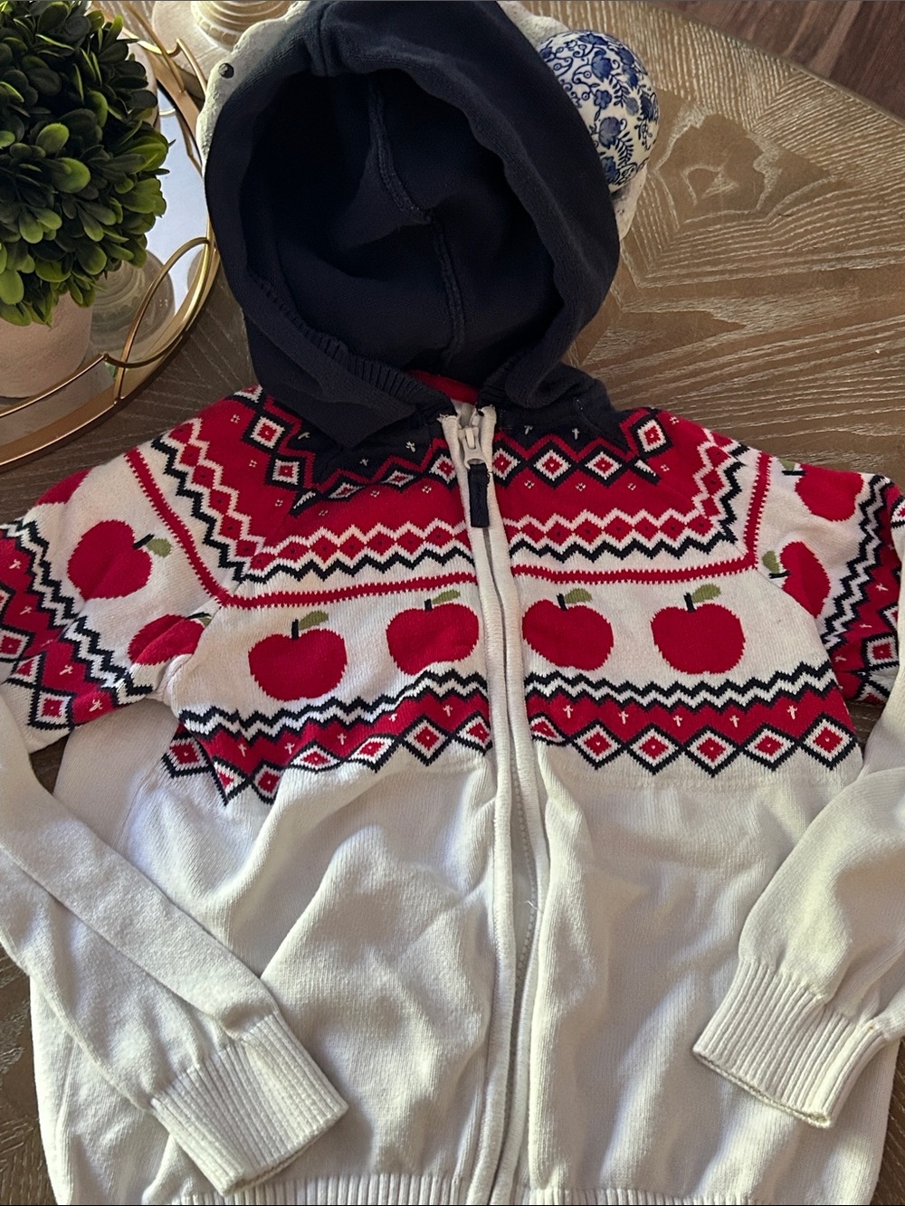 Gymboree Faire Isle Fall Harvest Hooded Autumn Apple Sweater Cardigan Jacket